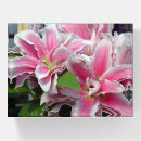 Search for floral paperweights Pink