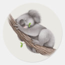 Search for bear stickers Animal
