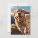 Search for running cards Dog