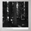 Search for university of california berkeley posters Fiat lux