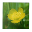 Search for water drop tiles Macro