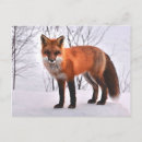 Search for tree postcards Wild