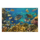 Search for coral reef art Blue
