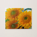 Search for sunflower puzzles Petals