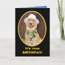 Search for funny car birthday cards Humor