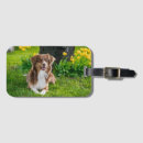 Search for pet luggage tags Modern