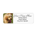 Search for goldendoodle return address labels Cute
