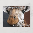 Search for giraffe postcards Cute