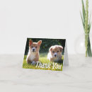Search for corgi thank you cards Pembroke