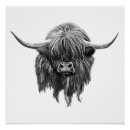 Search for black and white cow posters Highland
