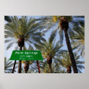 Search for palm springs posters Desert