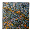 Search for fossil tiles Black