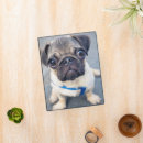 Search for animal binders Pet