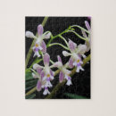 Search for orchid lovers gifts White