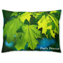 Search for maple tree home living foliage