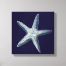Search for seashells sea shells canvas prints Coastal