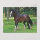 Search for clydesdale horse Farm