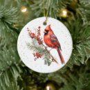 Search for cardinal ornaments Winter birds