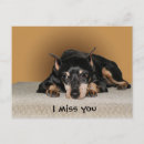 Search for sad miss you puppy postcards Dog