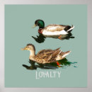 Search for mallard duck painting posters Ducks