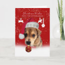 Search for veterinarian christmas cards Puppy