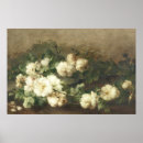Search for vintage rose posters White roses