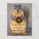 Search for squirrel christmas cards Rodent