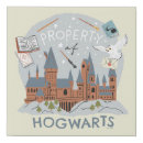 Search for harry potter cartoon posters Infant