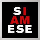 Search for siamese cat art Humor