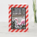 Search for flamingo holiday cards Humor