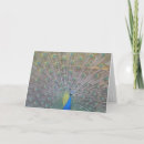 Search for farewell thank you cards Goodbye