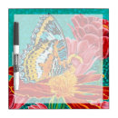 Search for flower drawing dry erase boards Butterfly