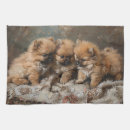 Search for dog kitchen towels Pomeranian