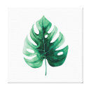 Search for illustration canvas prints green