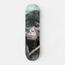 Search for monkey skateboards Cute