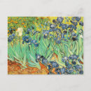 Search for van gogh postcards Fine