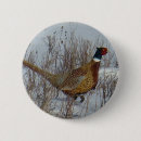 Search for pheasant hunting gifts Ring necked pheasants