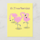 Search for flamingo postcards Cartoon