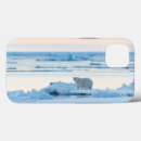 Search for bear iphone cases Iceberg