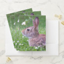 Search for bunny folders Bunnies