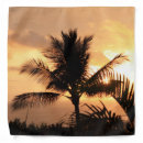 Search for hawaiian bandanas Orange