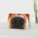 Search for dog birthday cards Happy