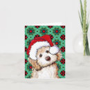 Search for labradoodle christmas cards Santa