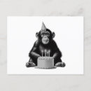 Search for chimpanzee cards Monkey