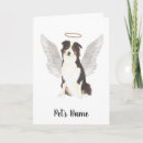Search for rainbow bridge cards Memorial