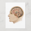 Search for neuroscience gifts Medicine