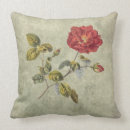 Search for french country pillows Roses