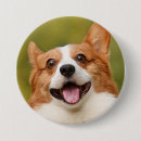 Search for dog gifts For pets