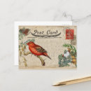 Search for vintage bird postcards Ephemera