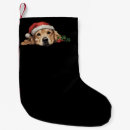 Search for golden retriever christmas stockings Winter